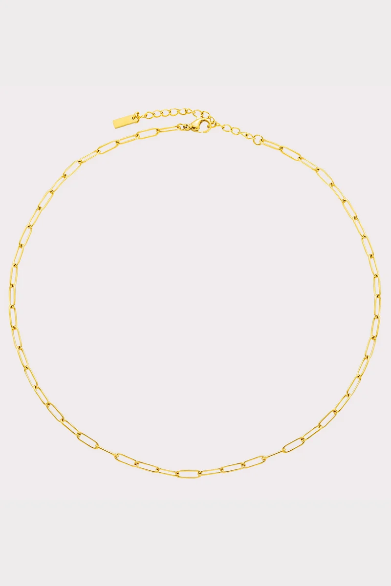 Cozumel Paperclip Choker