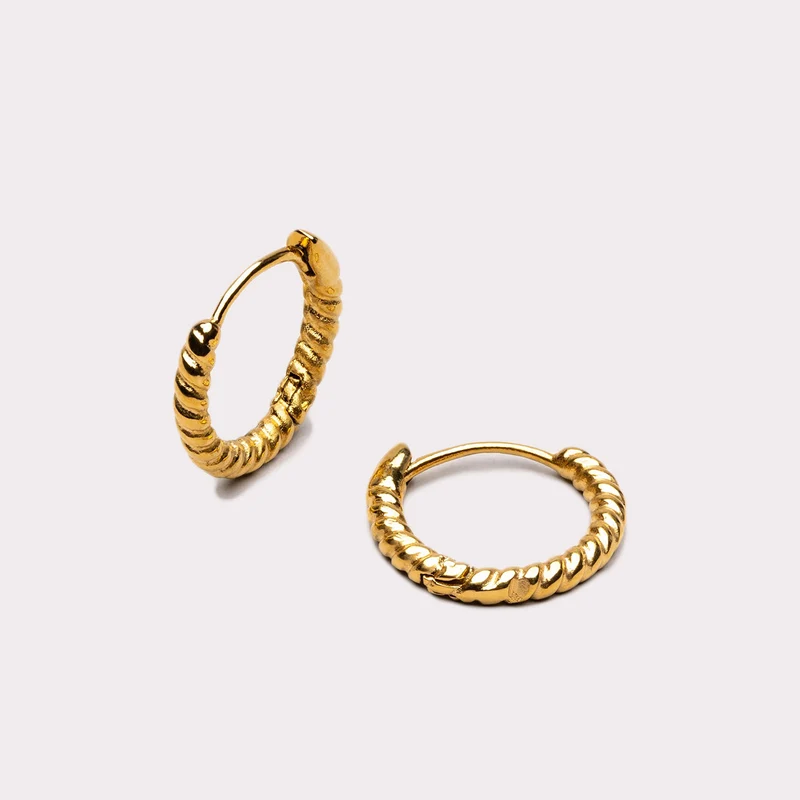 Twisted Hoop Earrings