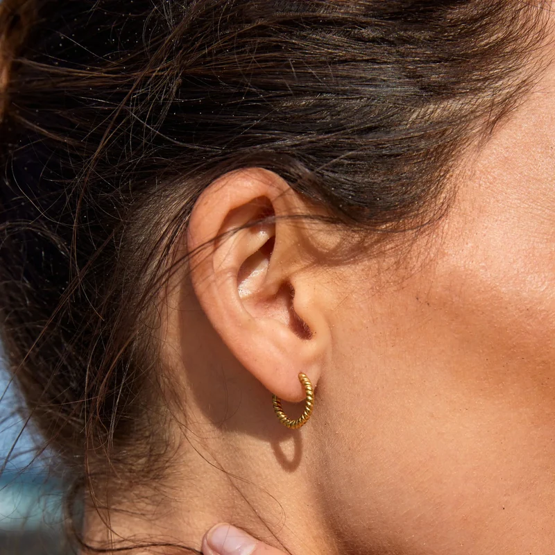 Twisted Hoop Earrings