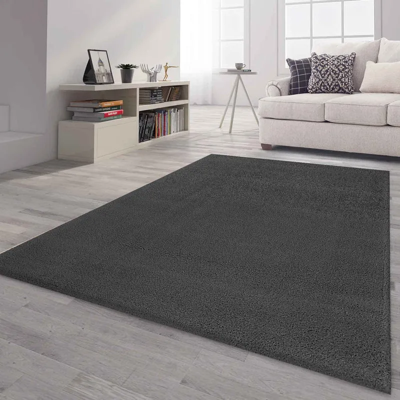 Teppich Hochflor grau anthrazit Extra Weich Mikrofiber Flauschiger für Wohnzimmer, Schlafzimmer, kinderzimmer