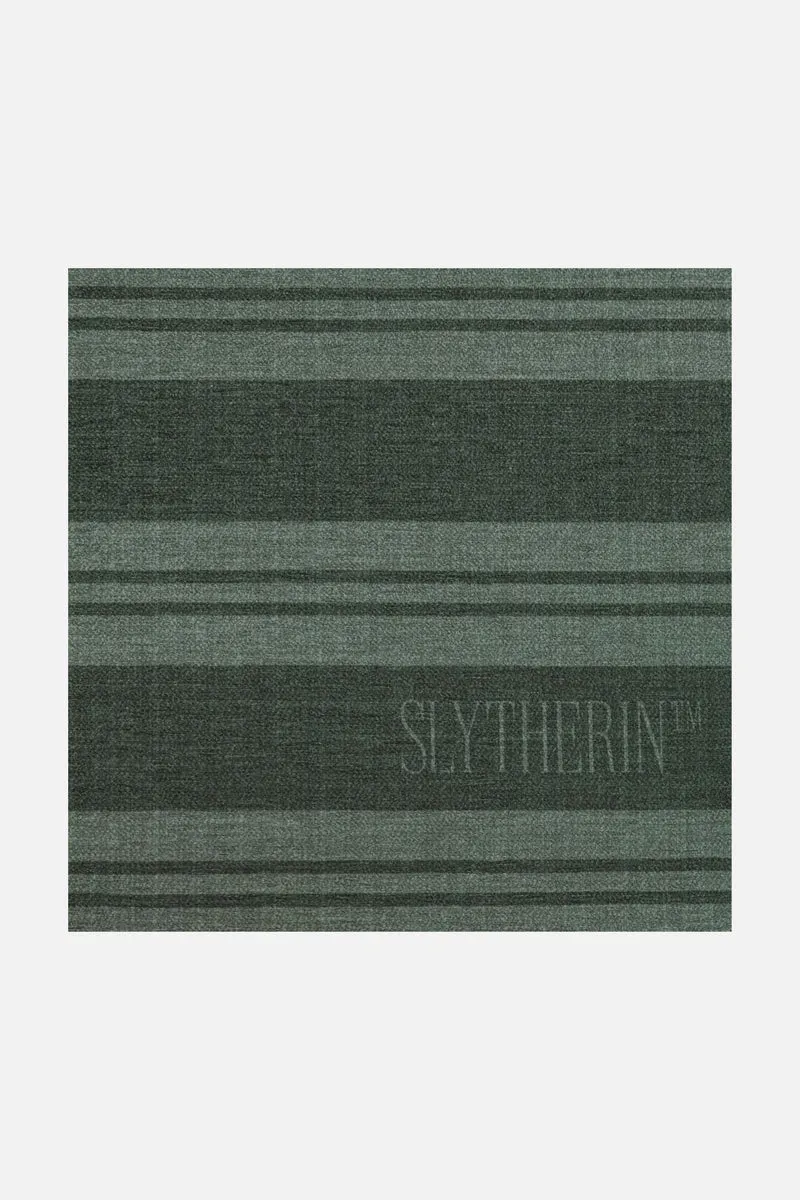 Harry Potter™ Streifen Slytherin Teppich