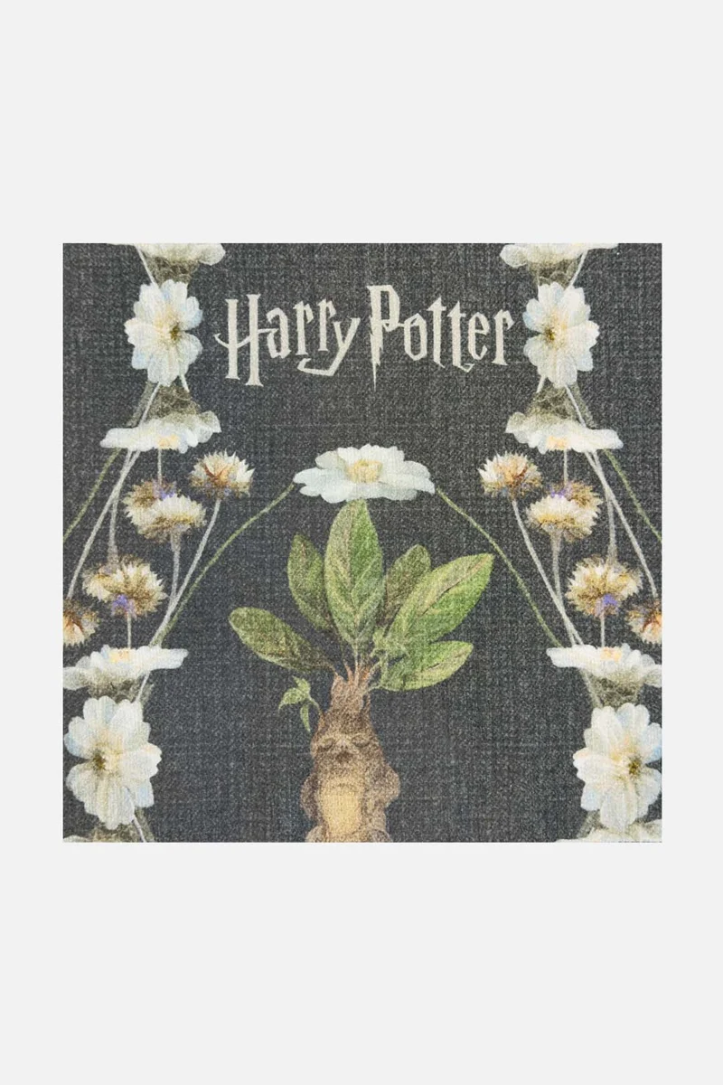 Harry Potter™ Alraune Basalt Teppich