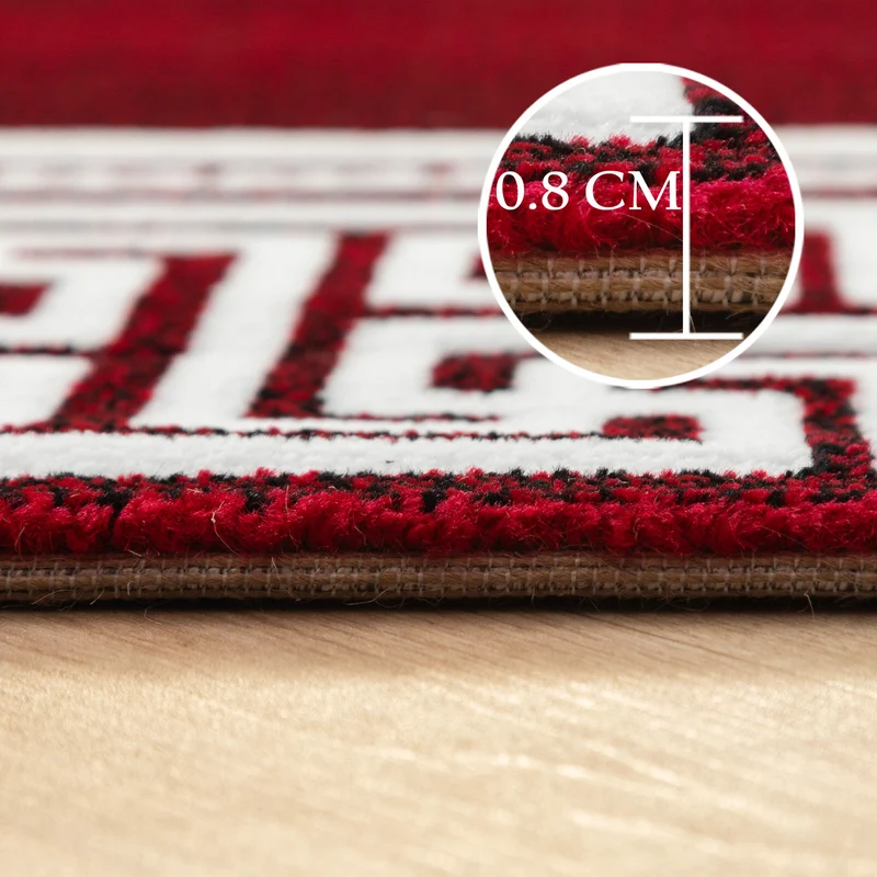 Carpettex Kurzflor Teppich Waschbar Extra Weich Modern