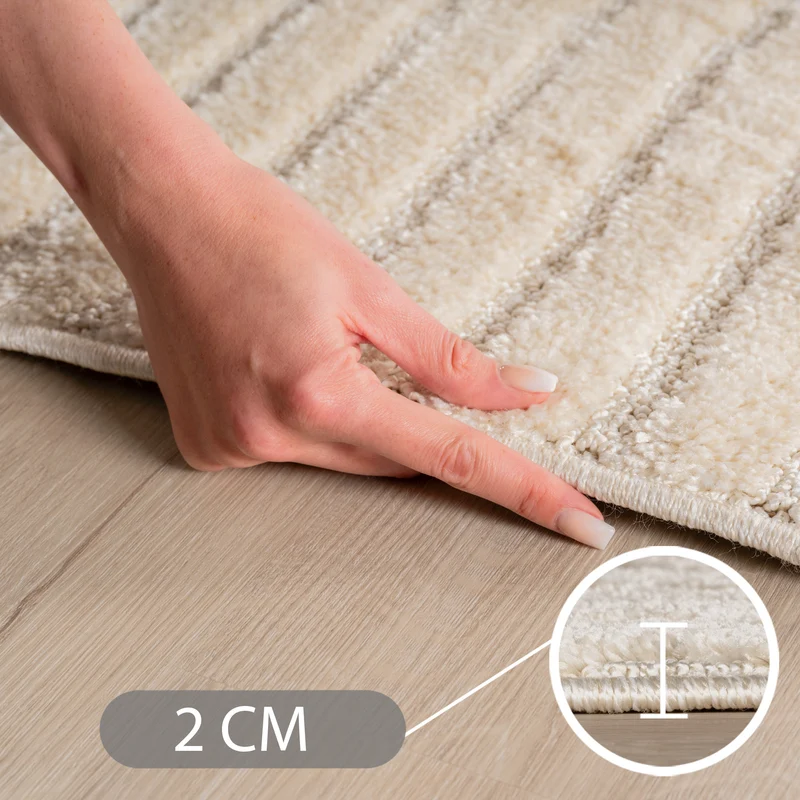 Carpettex Hochflor Teppich Shaggy Weich Skandi Boho