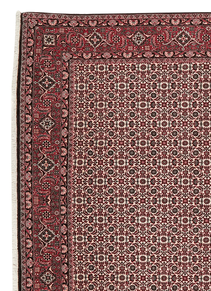 Bidjar · Handgeknüpft – Beige, 296x202 cm
