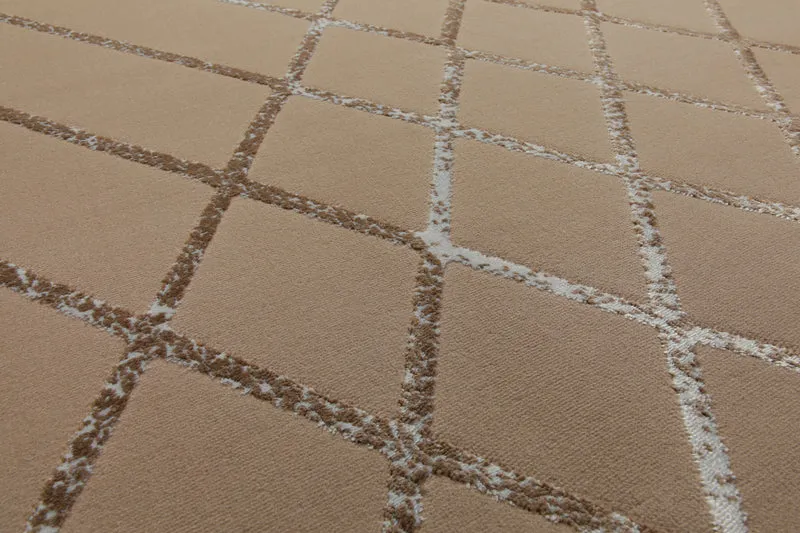 160x230 Teppich Wohnzimmer Braun