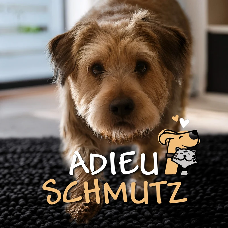 Waschbarer Haustierteppich für Hunde & Katzen Schwarz "Cooper" carPETS