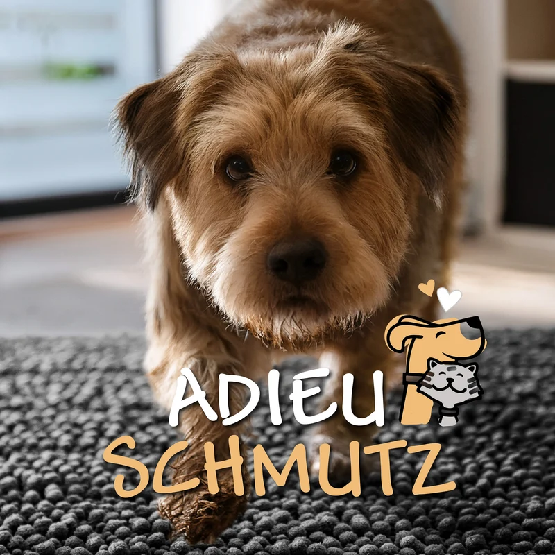 Waschbarer Haustierteppich für Hunde & Katzen Grau "Cooper" carPETS