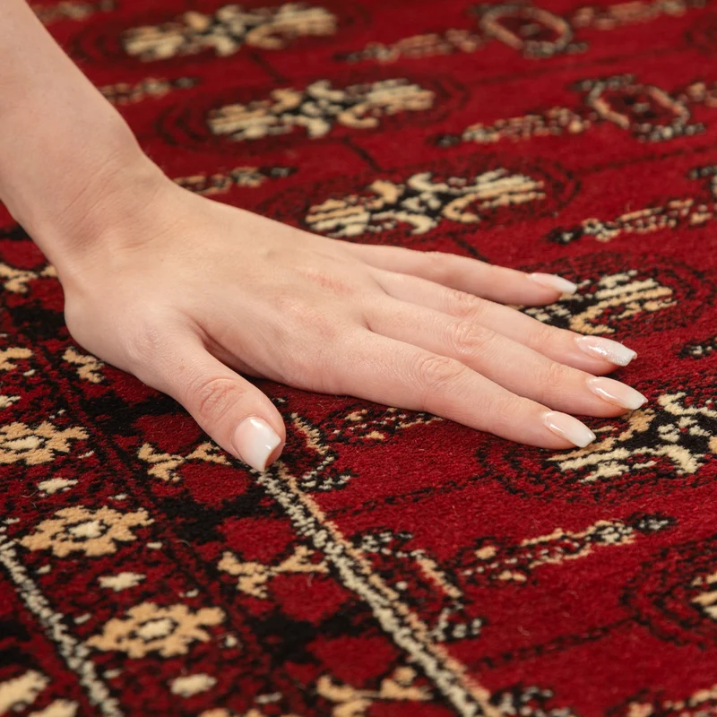 Carpettex Kurzflor Orientteppich Klassisches Muster Pflegeleicht