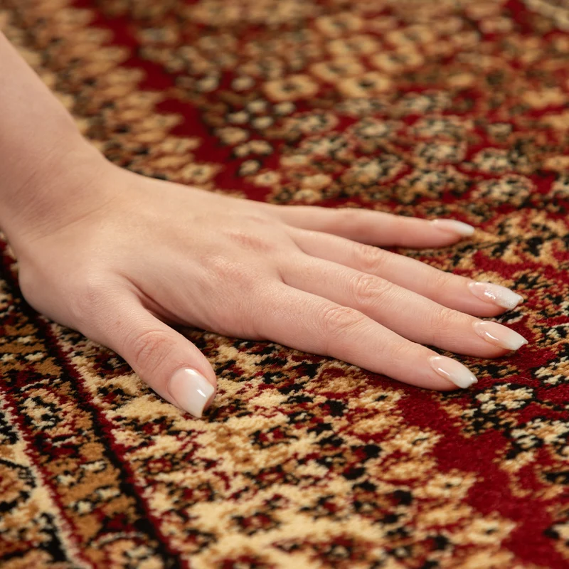 Carpettex Kurzflor Orientteppich Klassisches Muster Pflegeleicht