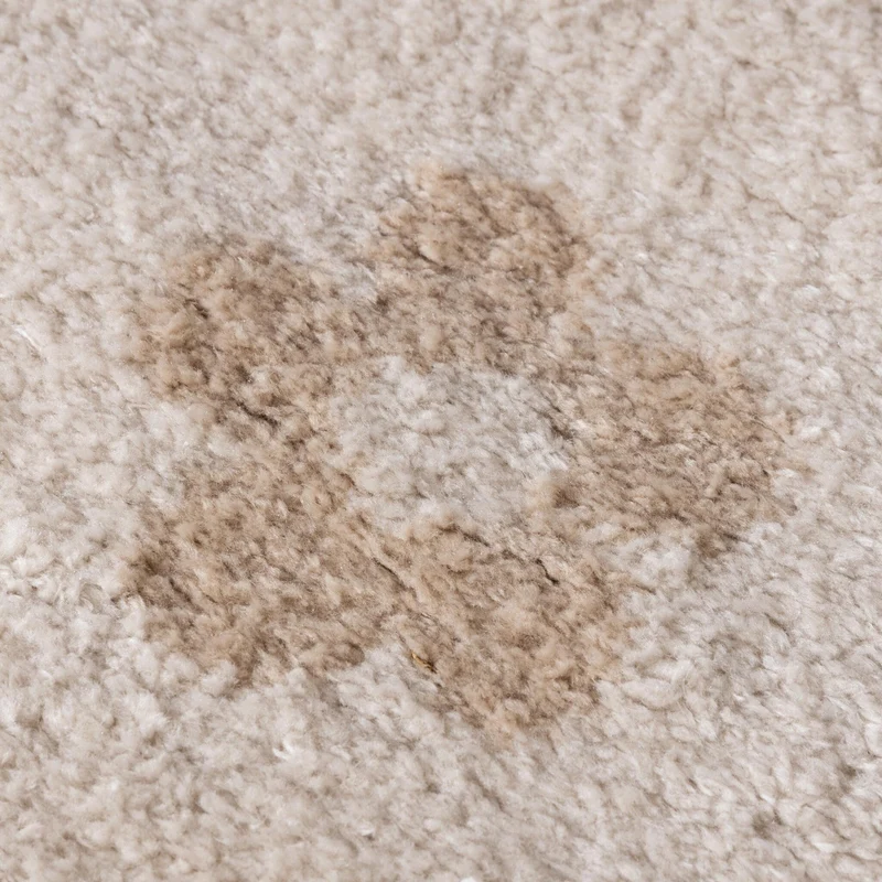 Waschbarer Kinderteppich - Moos Flower Creme
