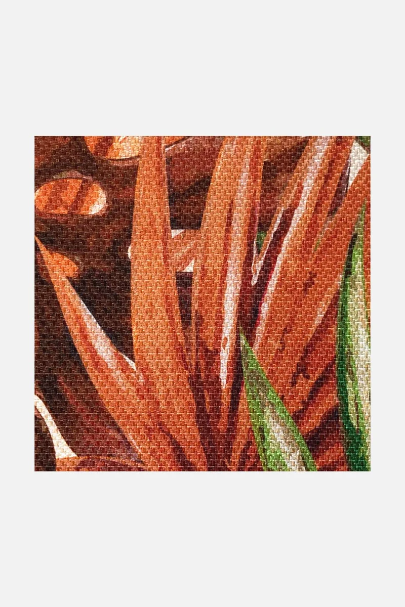 Outdoor Palme Rotkardinal Teppich