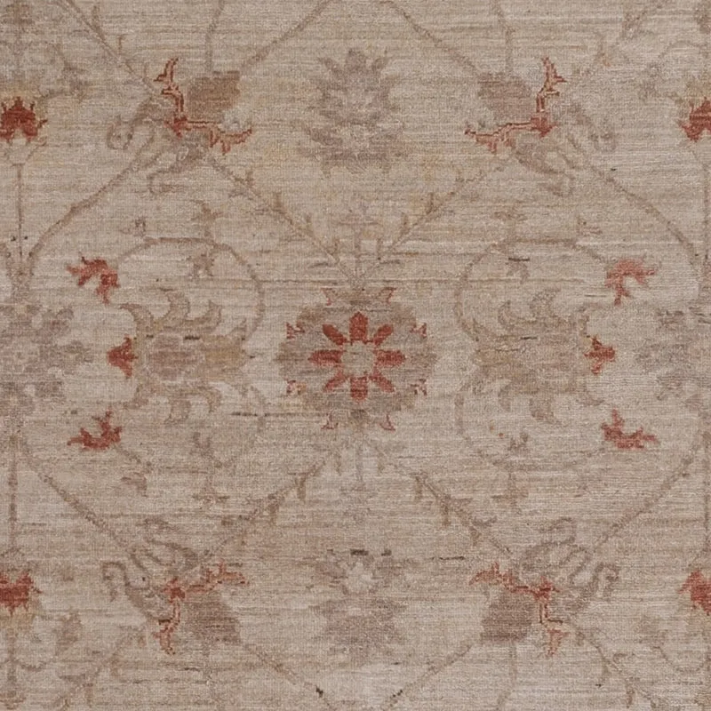Ziegler Teppich 244x302cm - Orientteppich