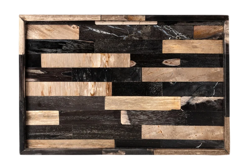 Petrified Wood Tray M