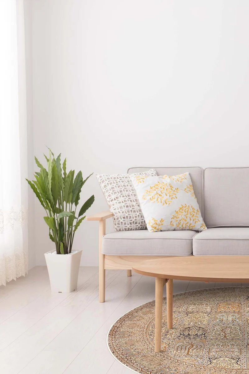 Banafsheh Beige Teppich