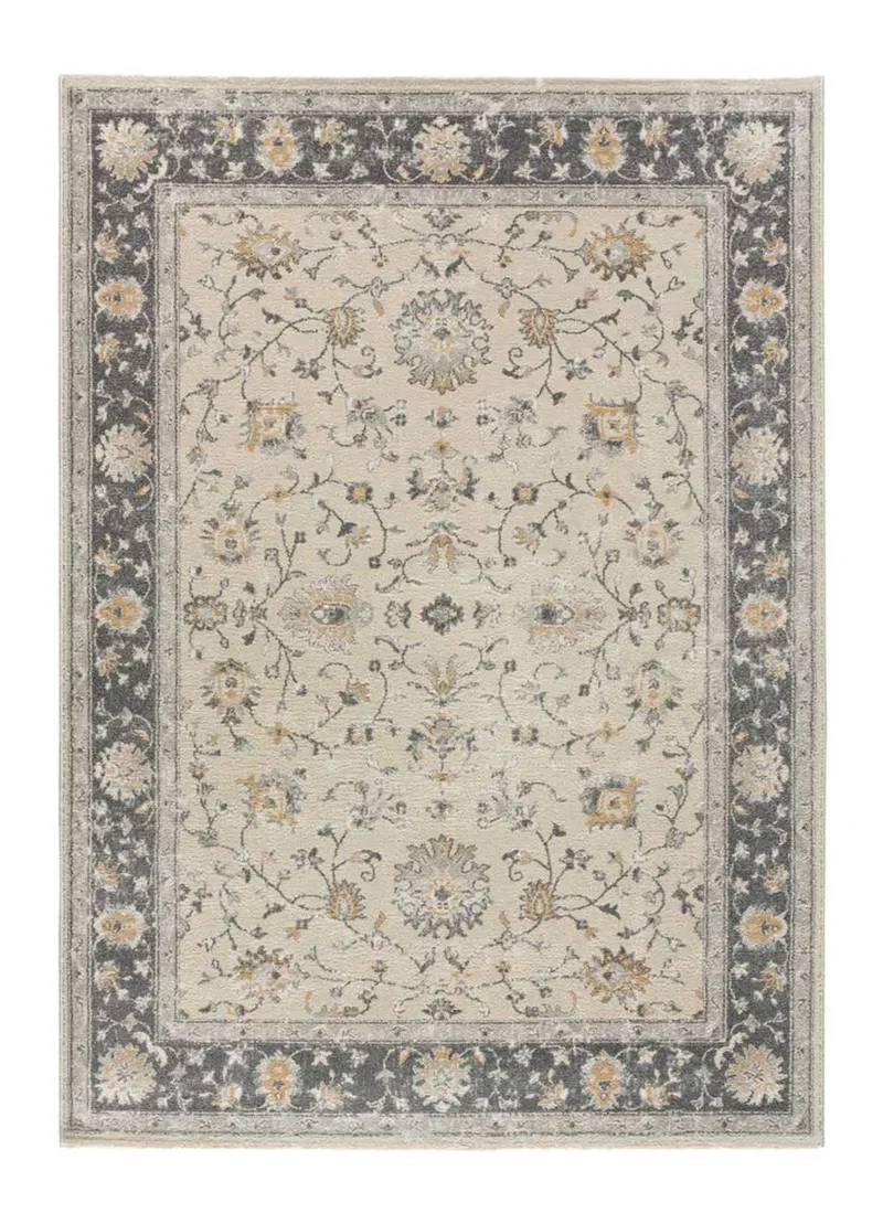 Alfombra Vintage Sensation 12679 Beige
