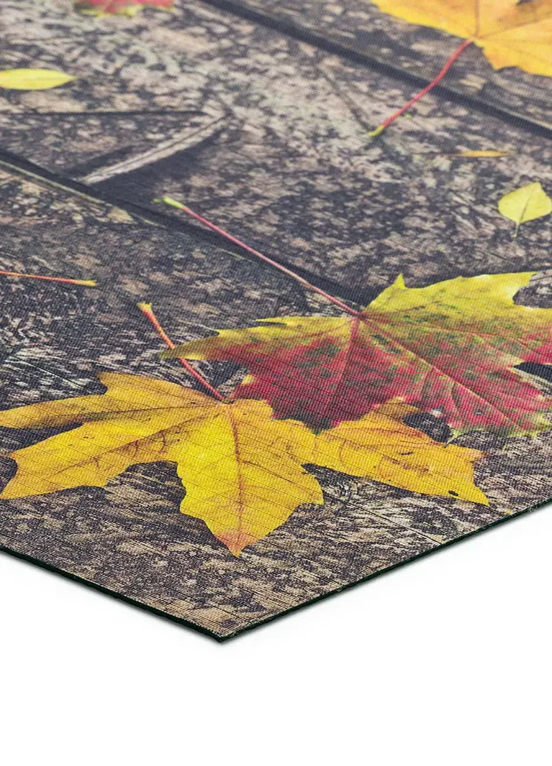 Alfombra de cocina antideslizante Sprinty Autunno
