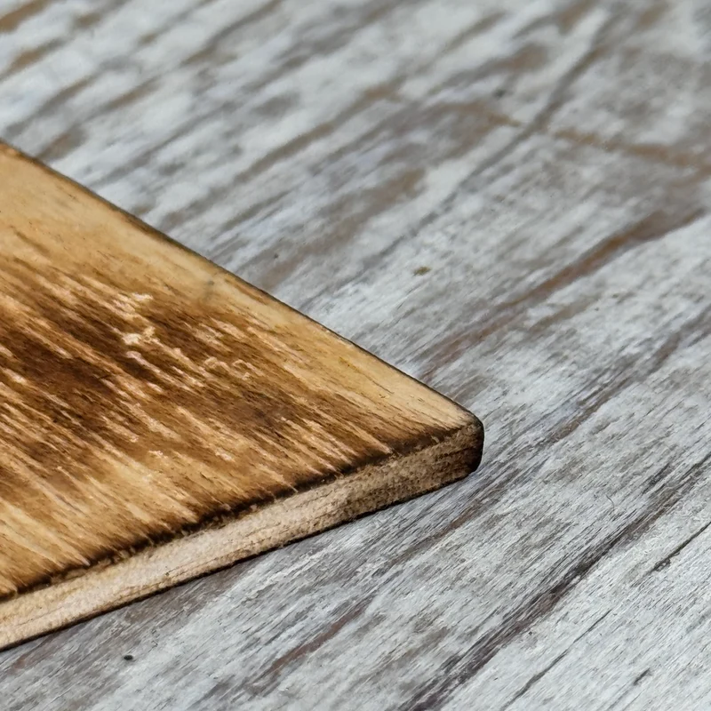Untersetzer Sukkulente Echeveria Holz Quadratisch 10x10 Deko Küchenbedarf