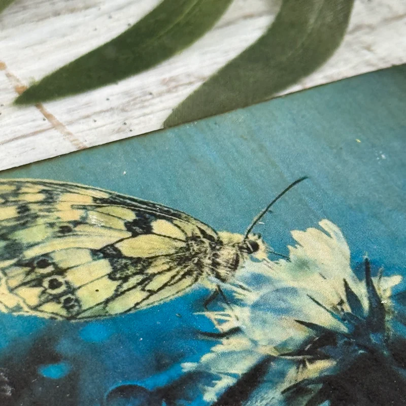 Untersetzer Schmetterling Waldbrettspiel Holz Quadratisch 10x10 Deko Küchenbedarf