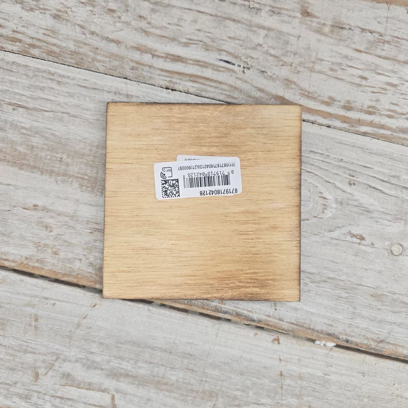 Untersetzer 10x10cm Grün Mehrfarbig Holz Kaktus-Motiv Deko