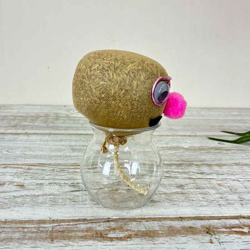 Graskopf Im Glas Rosa 12cm Gesicht Pflanze Pflanz-Set Grasgesicht Deko