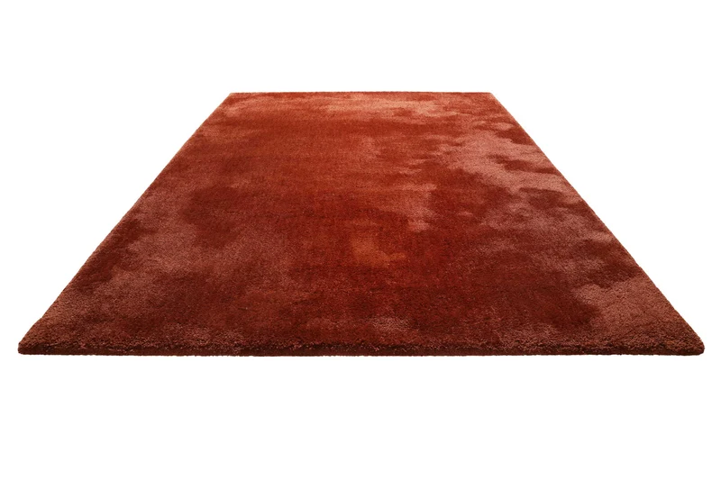 Teppich Braun Hochflor "Pisa" Homie Living