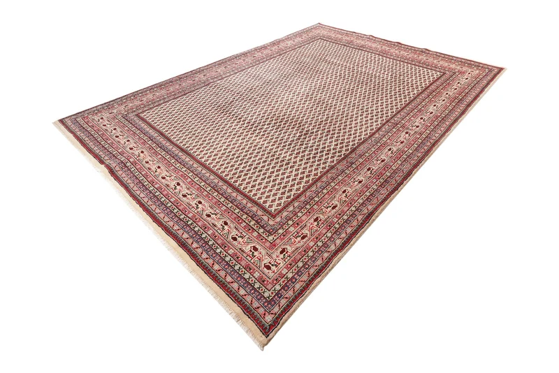 Sarough · Handgeknüpft – Beige, 324x222 cm