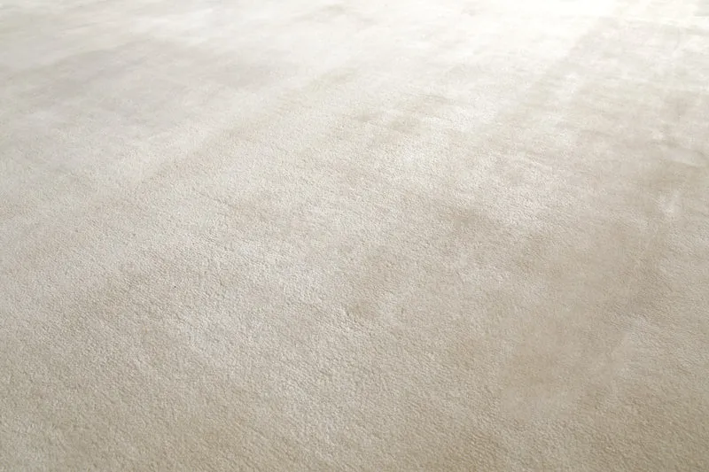 Weicher Hochflor Teppich Creme Beige "Eriksson" WECONhome