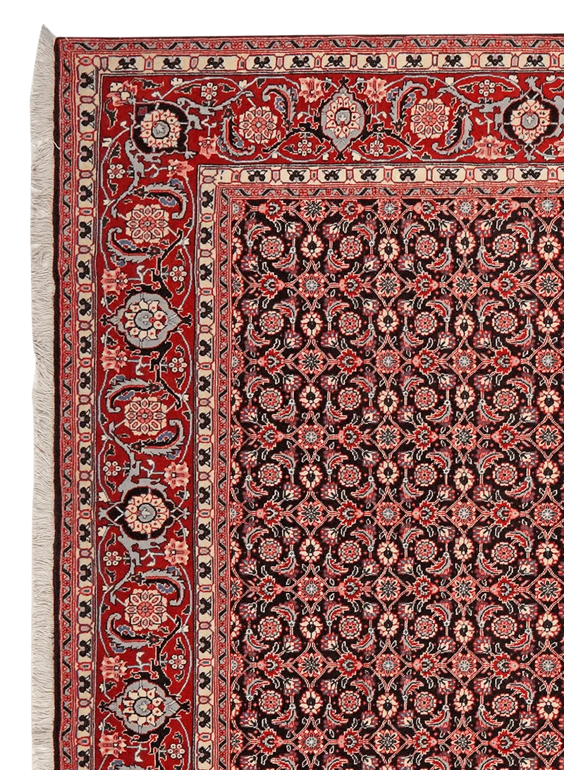 Tabriz 40 Raj · Handgeknüpft – Schwarz, 299x204 cm