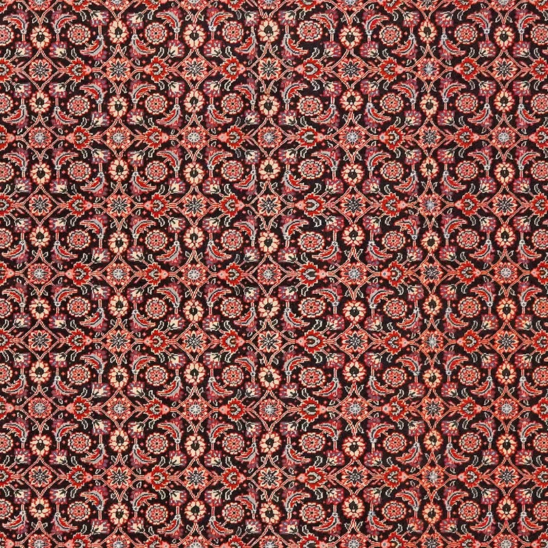 Tabriz 40 Raj · Handgeknüpft – Schwarz, 299x204 cm