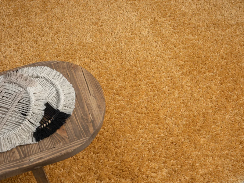 MY-RUG Hochflorteppich "Shaggy Star"