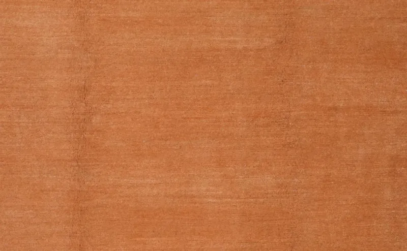Nepal · Handgeknüpft – Orange, 250x200 cm