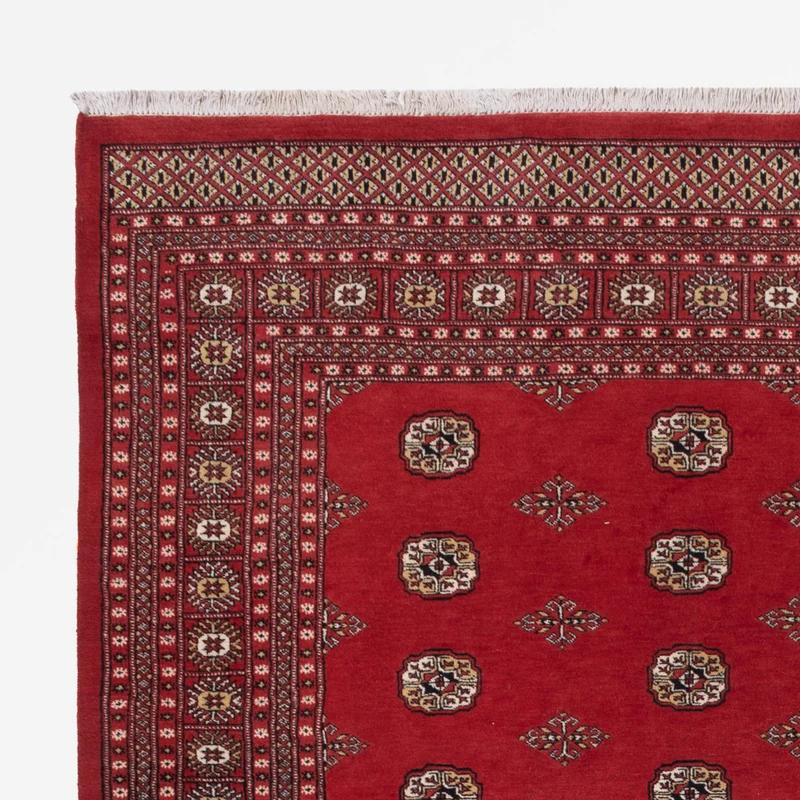 Pakistan Teppich 251x331cm - Orientteppich - rot
