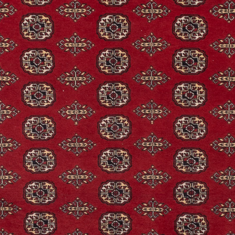 Pakistan Teppich 248x318cm - Orientteppich - rot