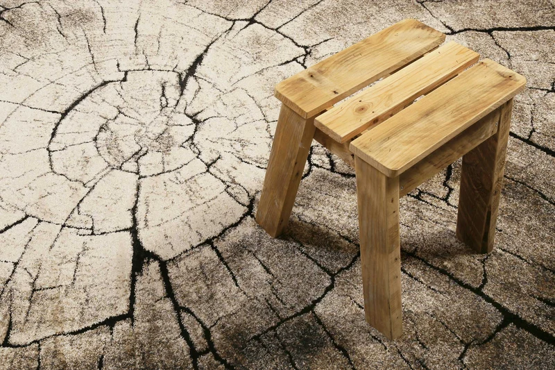 WECONhome Kurzflor Teppich "Wild Oak "holz braun