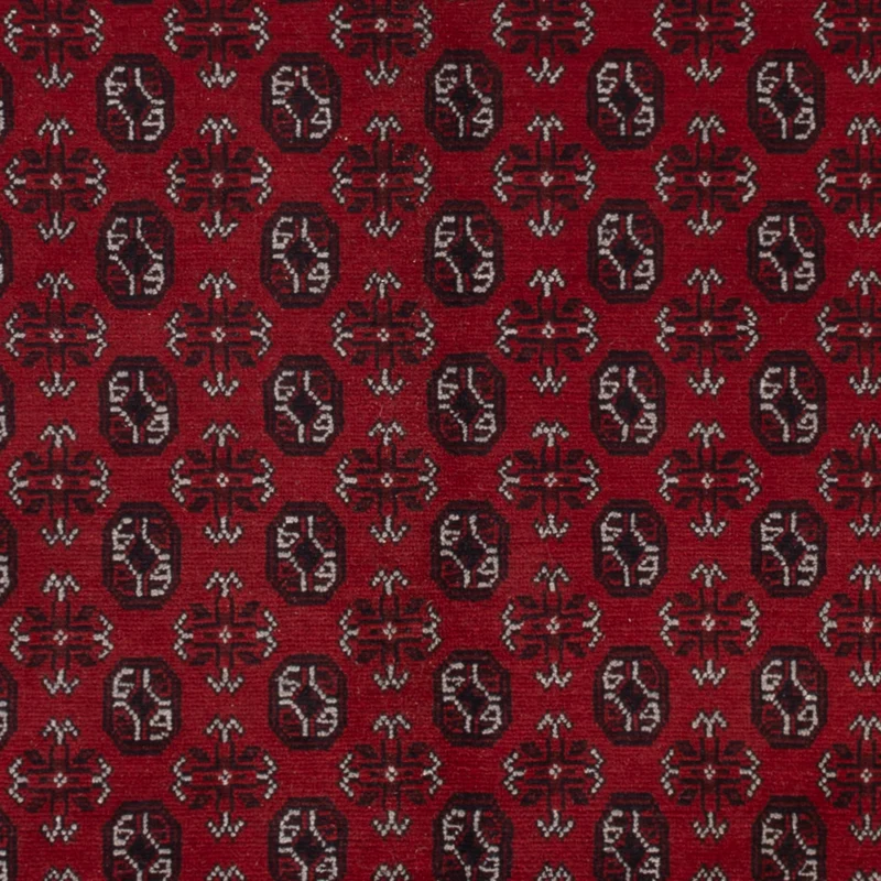 Afghan Teppich - Filpa - 245 x 302 cm - rot