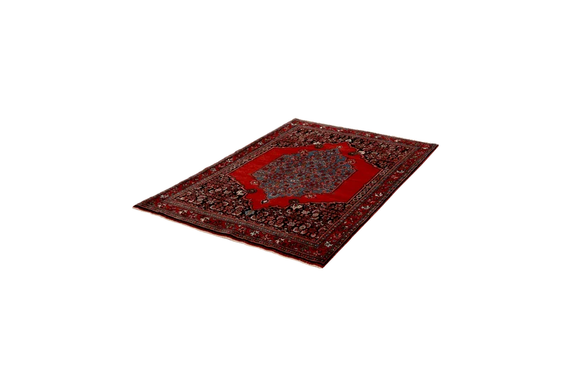 Bidjar · Handgeknüpft – Rot, 168x110 cm