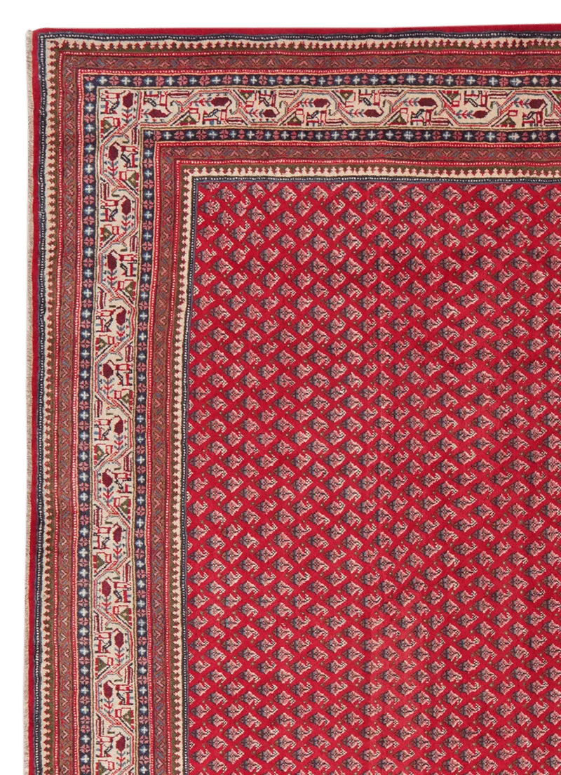 Sarough · Handgeknüpft – Rot, 315x218 cm