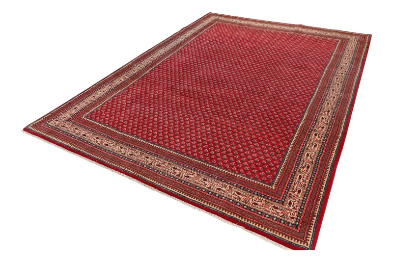 Sarough · Handgeknüpft – Rot, 315x218 cm