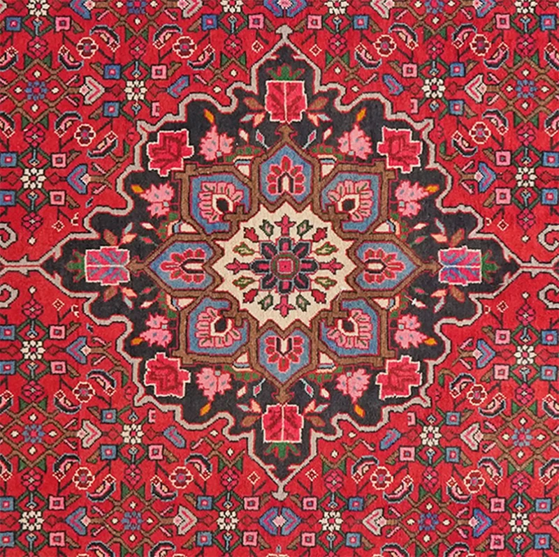 Bidjar · Handgeknüpft – Rot, 254x155 cm