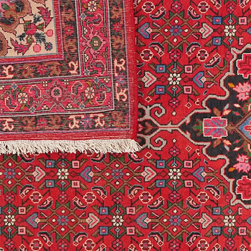 Bidjar · Handgeknüpft – Rot, 254x155 cm