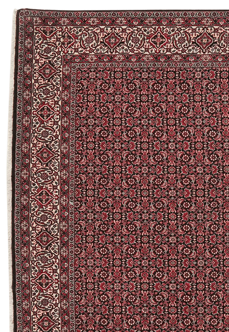 Bidjar Bookan · Handgeknüpft – Blau, 204x204 cm
