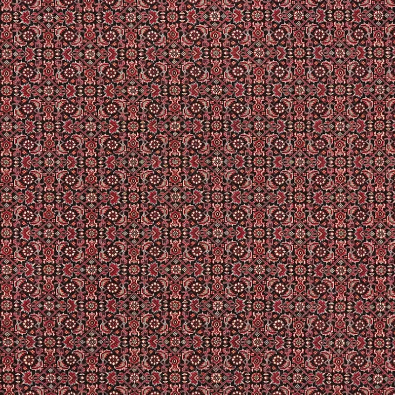 Bidjar Bookan · Handgeknüpft – Blau, 204x204 cm