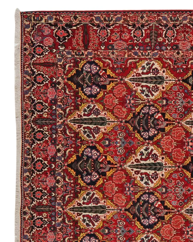 Bakhtiar · Handgeknüpft – Bunt, 341x212 cm