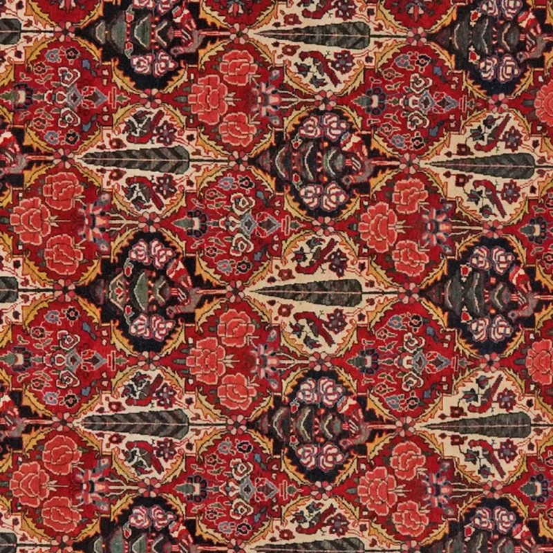Bakhtiar · Handgeknüpft – Bunt, 341x212 cm