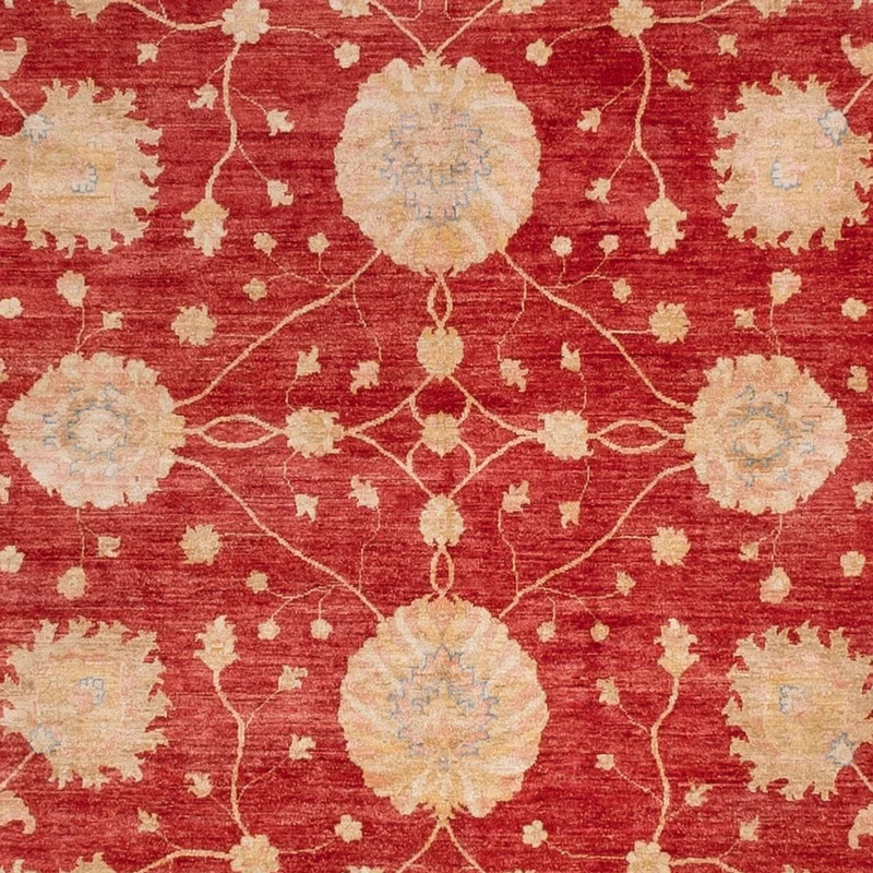 Ziegler Teppich 403x392cm - Orientteppich - rot