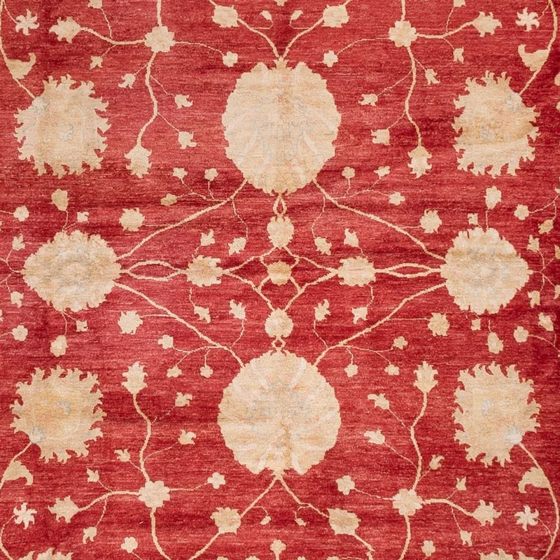 Ziegler Teppich - 400 x 521 cm - beige