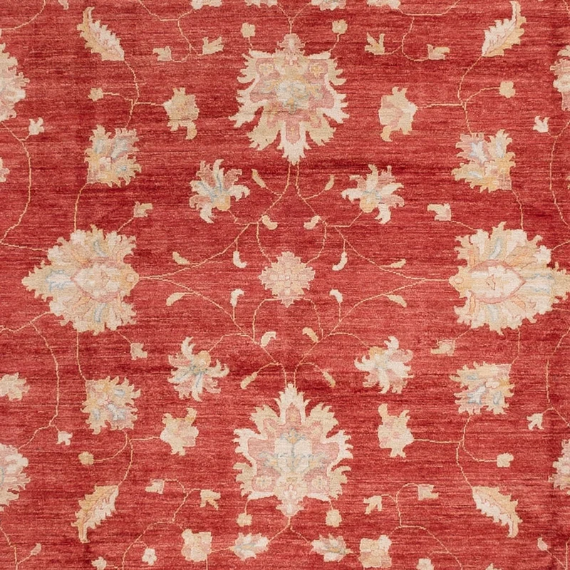 Ziegler Teppich 253x493cm - Orientteppich - rot