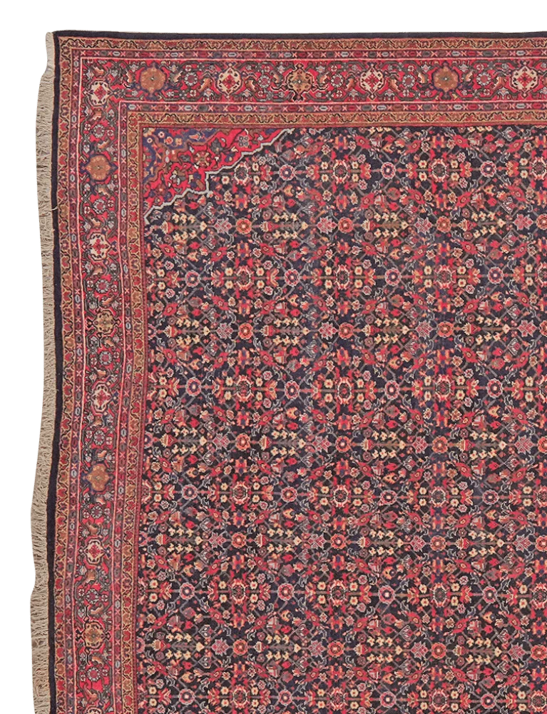 Meyghan · Handgeknüpft – Blau, 426x238 cm