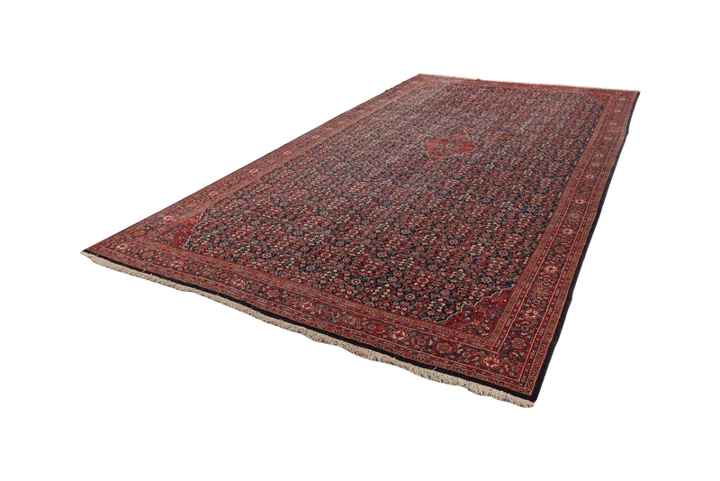 Meyghan · Handgeknüpft – Blau, 426x238 cm